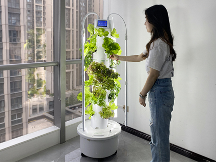 Australia 4P6 Touch Screen Hydroponic Tower System