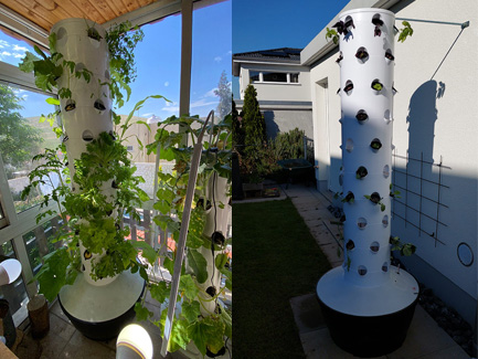 2 sets of Aeroponic Towers in Canada