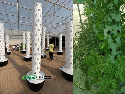 Customers in Dubai grow vegetables using hydroponic tower products