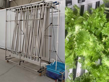 Greenland Hydroponic Zip Indoor Farm