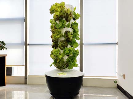 Spain 100L 6P7 hydroponic tower