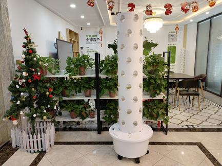  UK 4 sets 6p9 hydroponic tower system