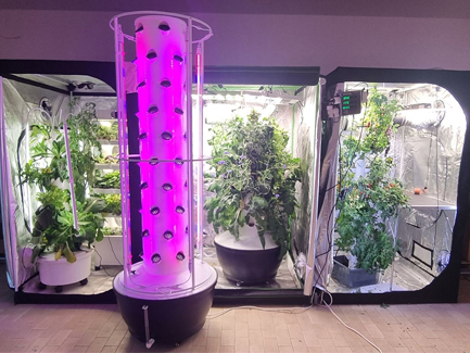 US 6P10 Hydroponic Tower System with Lights