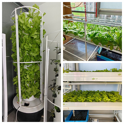 hydroponic planting system