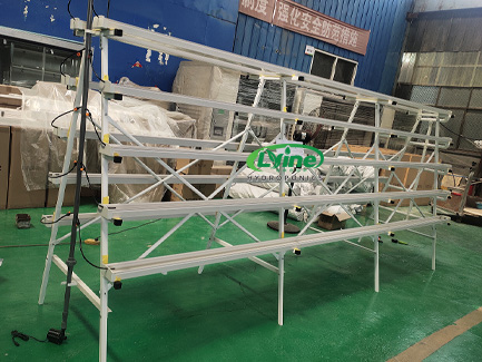 Kazakhstan customer purchased A type NFT hydroponic system01