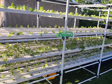 Multi-layer lay-flat hydroponic NFT system for Israeli customer01