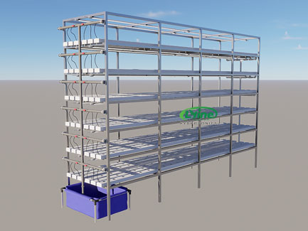 Multi-layer NFT hydroponic system in Mauritius