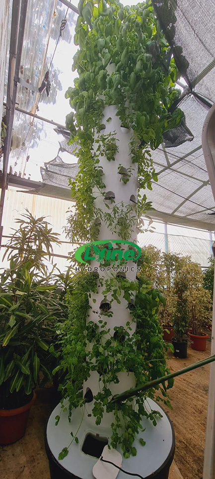 Portugal Greenhouse Aeroponic Tower Project03