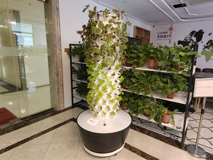 4 x 12P15 hydroponic tower systems in Uruguay