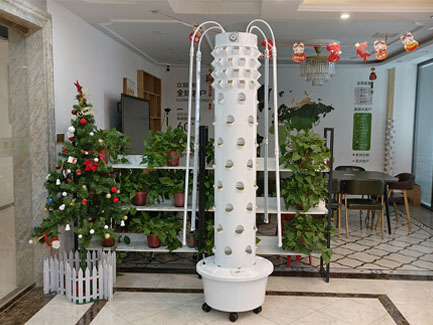 Belgian customer distributes our 6p8+12p4 hydroponic tower