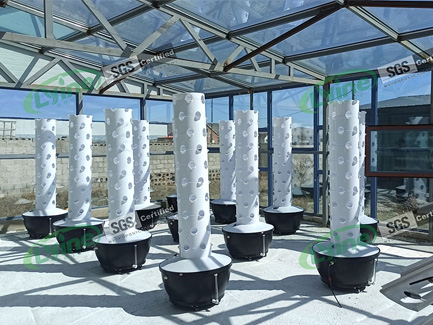 Côte d'Ivoire 10 2.2-meter-high 6P10 hydroponic tower systems02