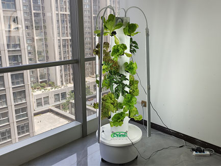 Colombia 4P6 hydroponic tower system