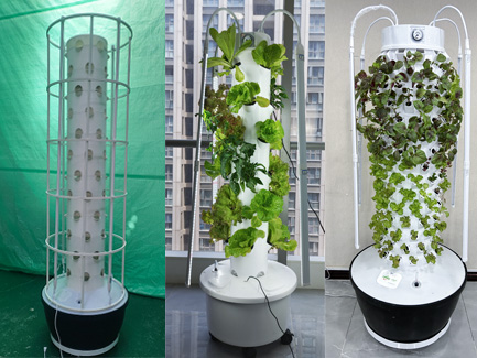 Costa Rican customer purchases hydroponic tower system for market testing