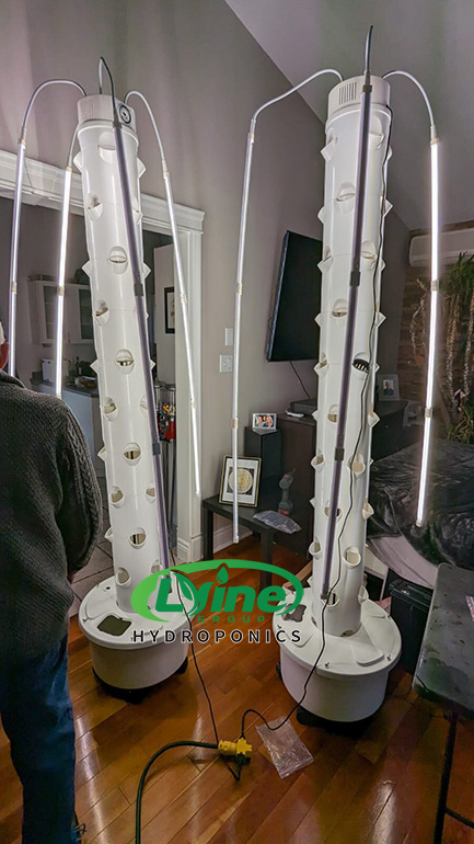 Five 4P10 hydroponic tower systems in Canada02