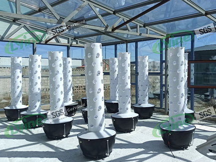 Hydroponics commercial program for Mongolian clients01