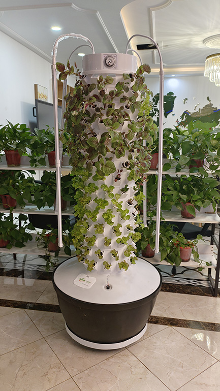 Spain 12P15 Hydroponic Tower System