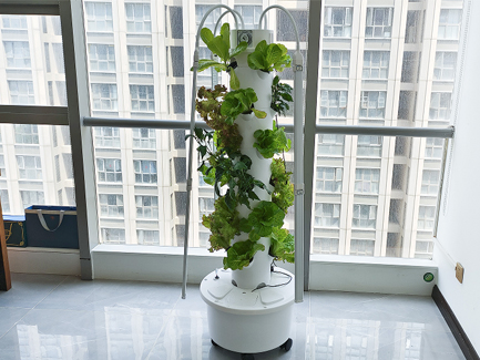 Spanish customer 4p6 hydroponic tower