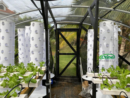Three sets of 6P10 hydroponic tower system without light in Malaysia