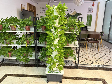 Toronto 5P14 Hydroponic Tower System