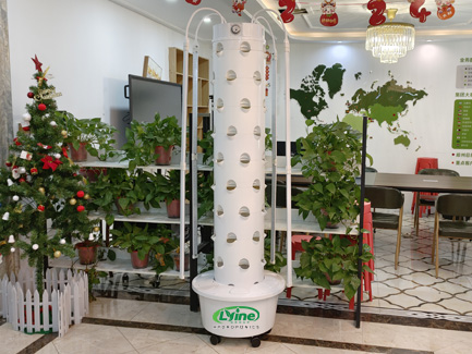 U.S. customers interested in upgraded hydroponic tower system