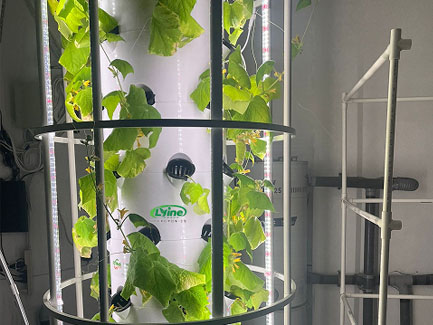 U.S. Domestic Hydroponics Tower System and NFT System