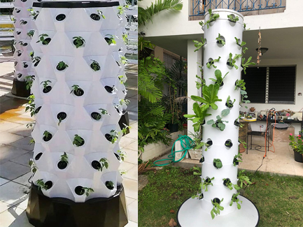 UAE customer orders a total of 20 hydroponic tower systems