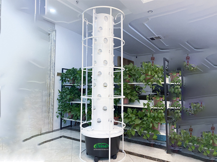 Uzbekistan Hydroponic Towers for Home Use and Resale